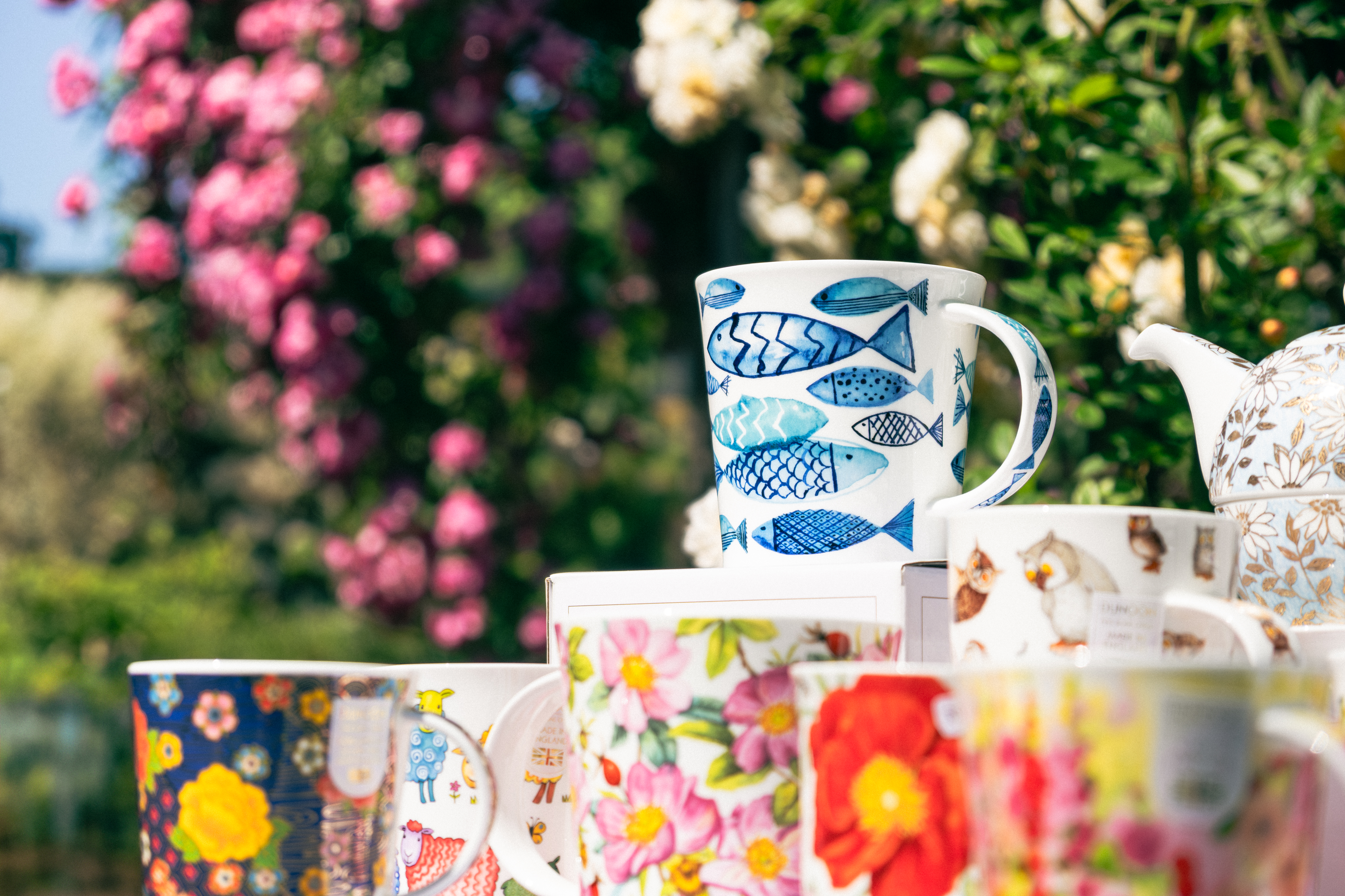 Photographie de produits et de boutique — 1 sur 13